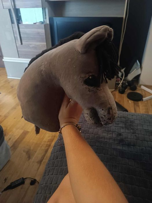 Hobby horse a4, konik na kijku
