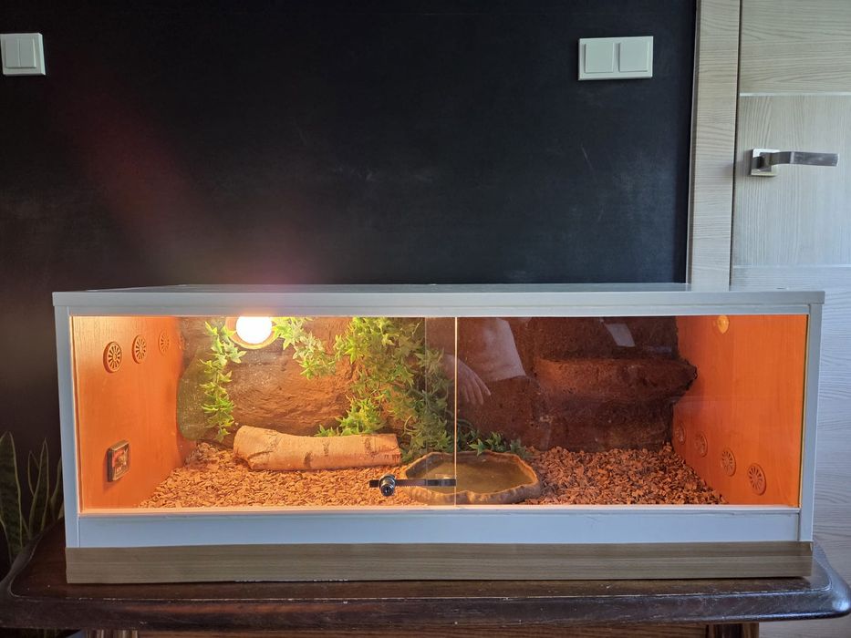Terrarium drewniane z wyposażeniem lampa dekoracje termometr basen 100x45x40
