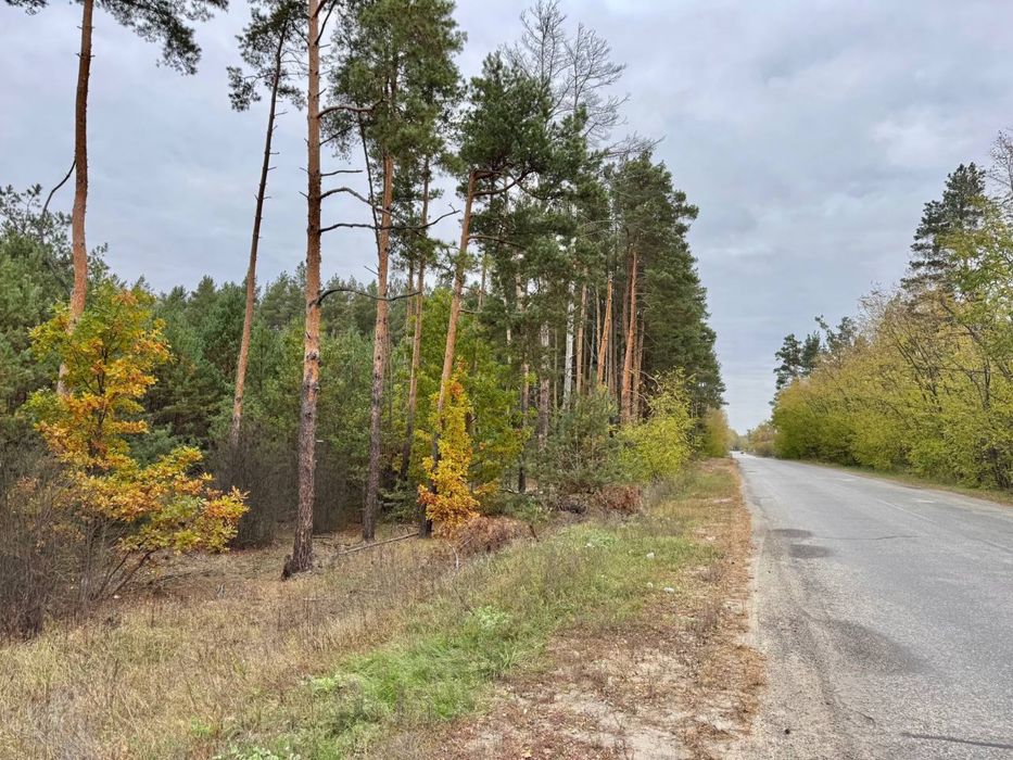 Продаж залісненої землі недалеко від Києва 50$ за сотку