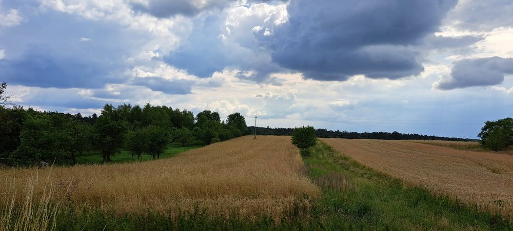 Działka budowlana w pięknej okolicy (lasy i staw