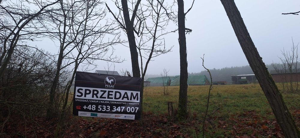 Działka Budowlana Szumiąca, Super inwestycja - Widok 2