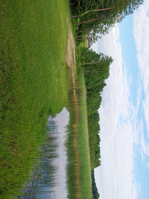 Pole namiotowe nad jeziorem
