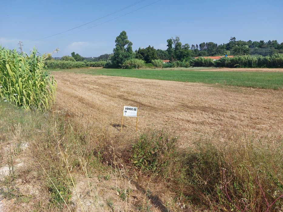 Terreno Leiria junto à  Ribeira dos Milagres, Regueira de Pontes