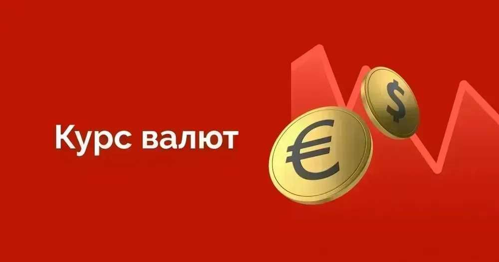 ОБМЕН ВАЛЮТ: ищу партнера или инвестора, доходность ежедневно 0.25-1%
