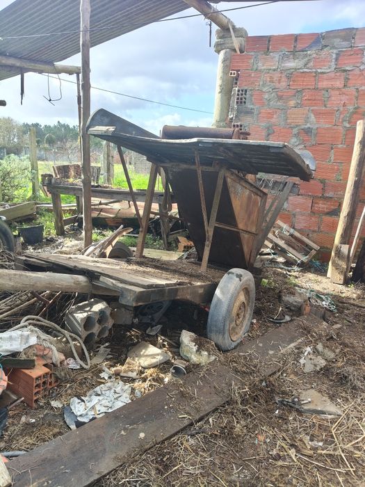 Alfaia do milho do campo