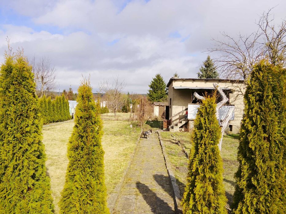 Ogródki Działkowe