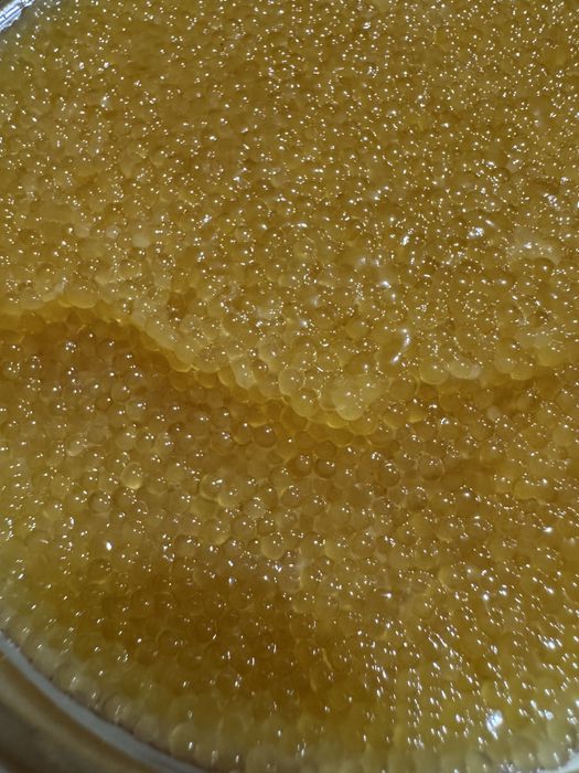 Сушена риба густера, тарань, карась, судак, лящ, щука