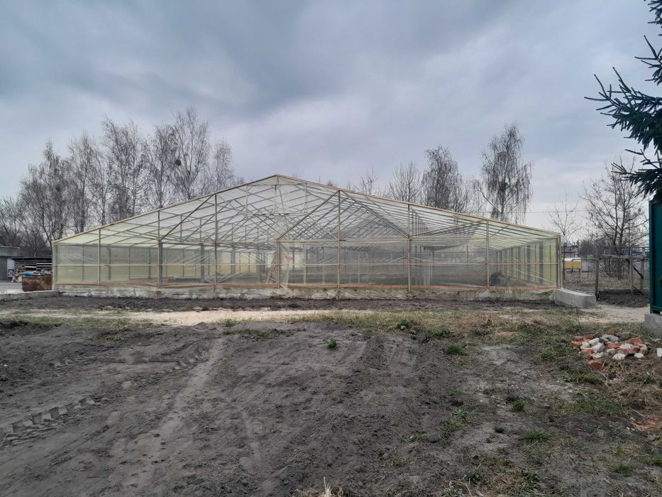 Оренда або продаж теплиці 300кв.м