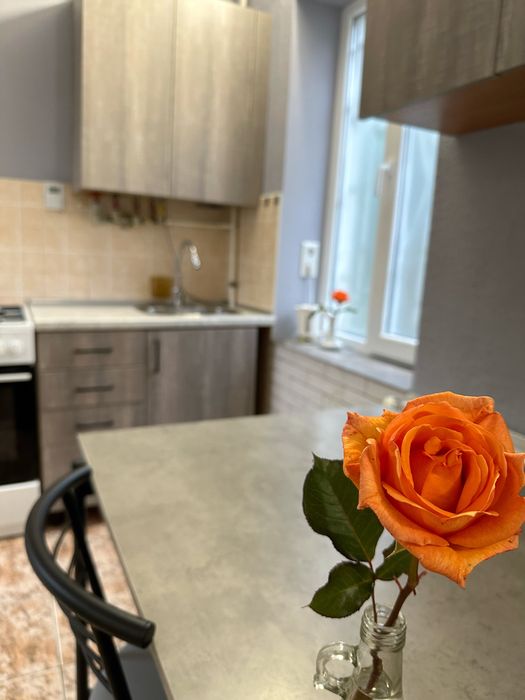 ЛАД — кв.-студія в центрі