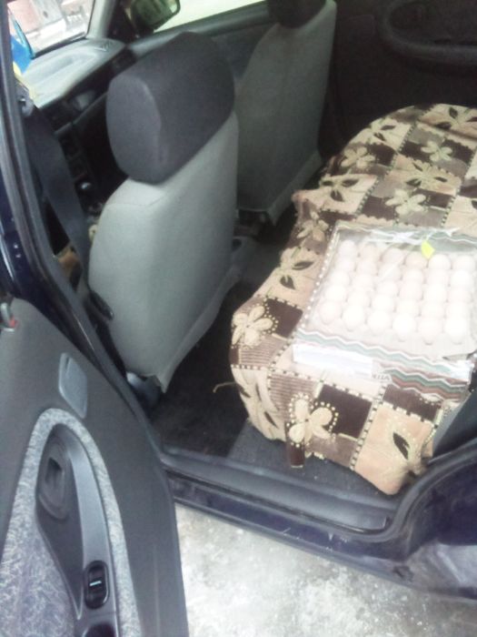 Део нексія у доброму стані 2007 р