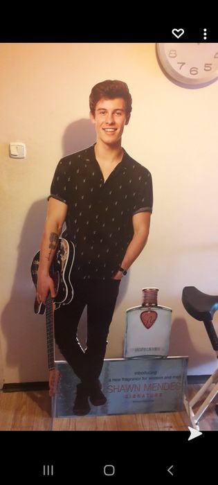 Karton / stand Shawn Mendes 1:1