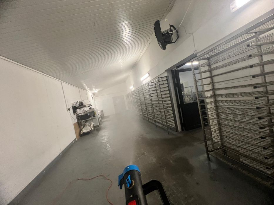 Skuteczna Dezynsekcja Deratyzacja - Prusaki Pluskwy Karaluchy Warszawa