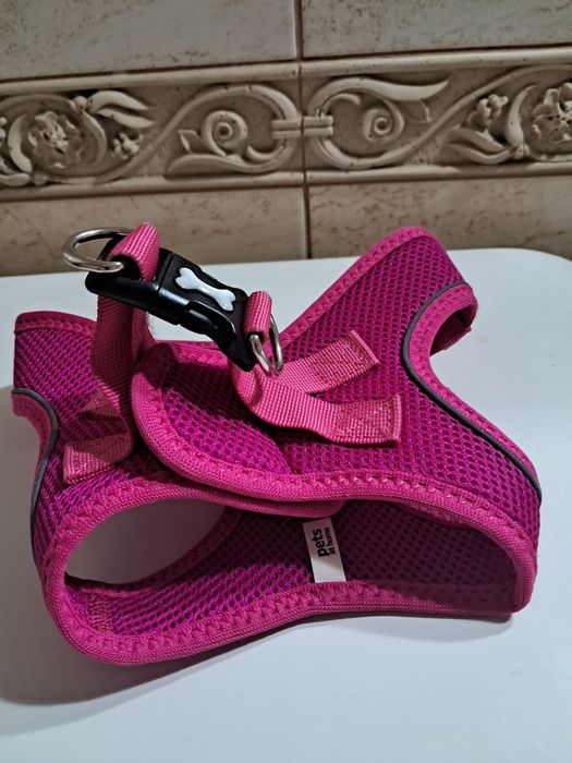 Шлея для собак нова