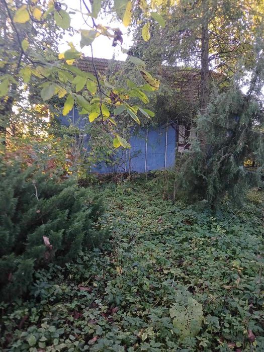 Земельна ділянка з будинком і літньою кухнею