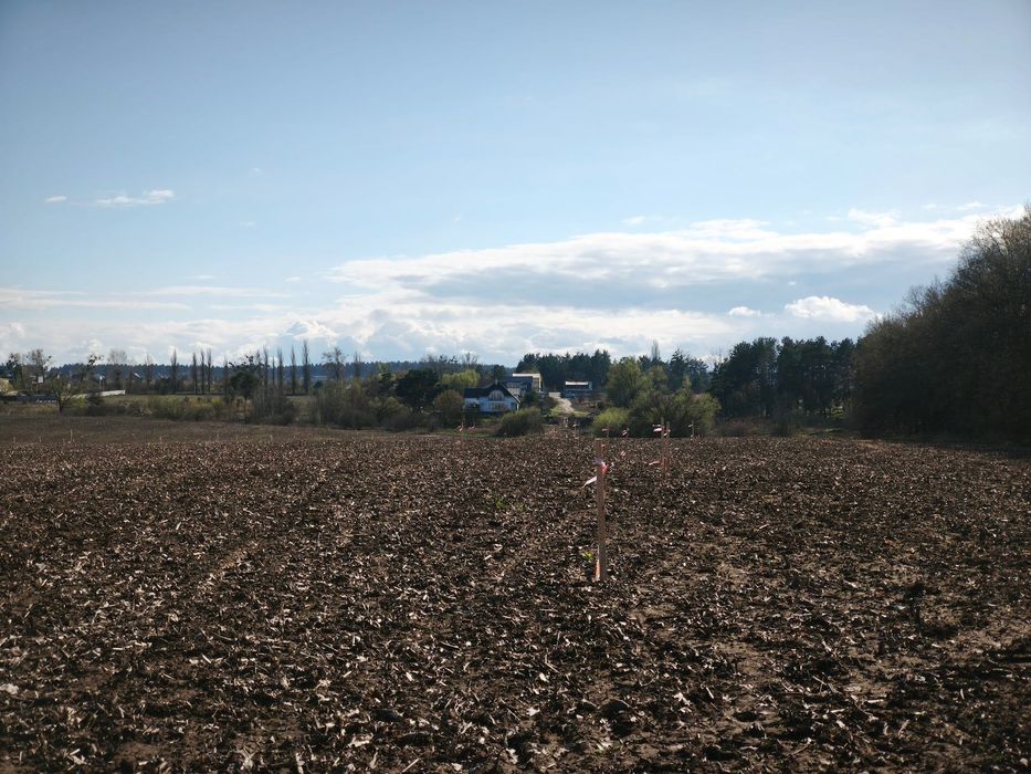 Продам ділянку в Білогородці. Обжите місце поряд з соснами.