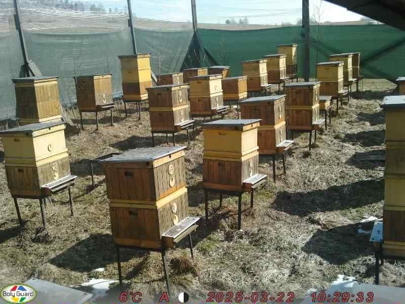 Elementy pasieki na sprzedaż sprzet pasieczny Ule pszczele wyp