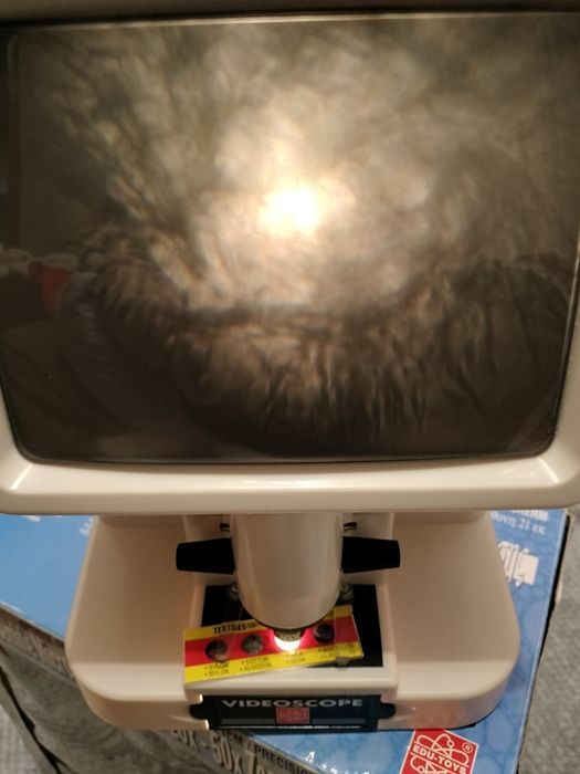 Wideoskop videoskop