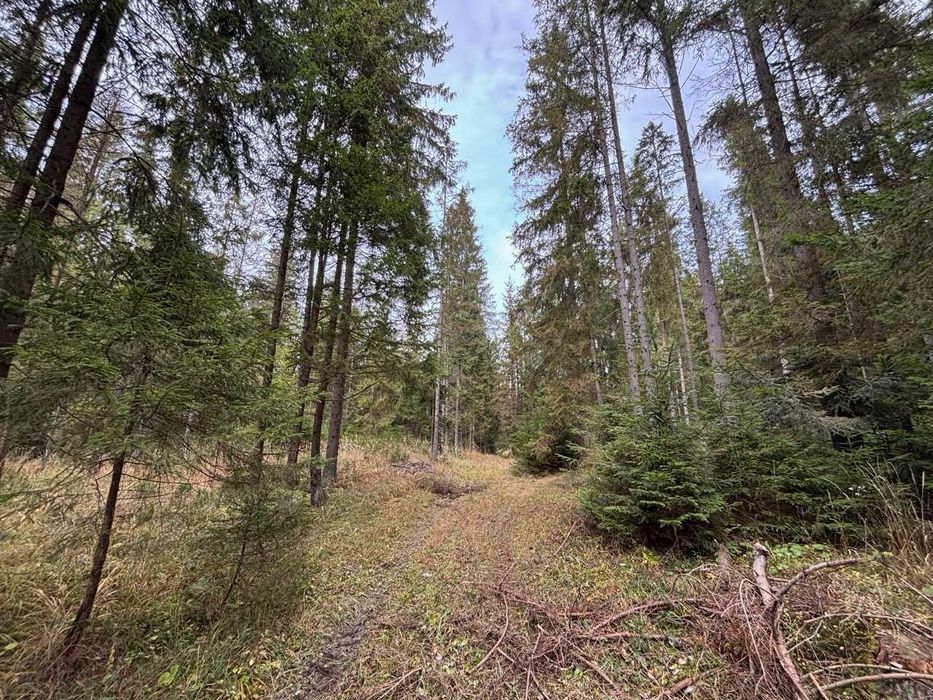 Działki leśne - 33a i 12a - Lipnica Wielka Centrum - łatwa obsługa