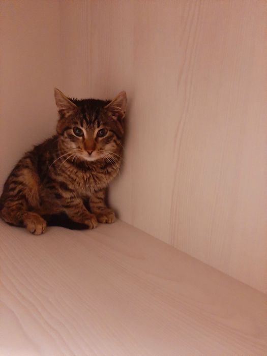 Малышу нужен срочно дом