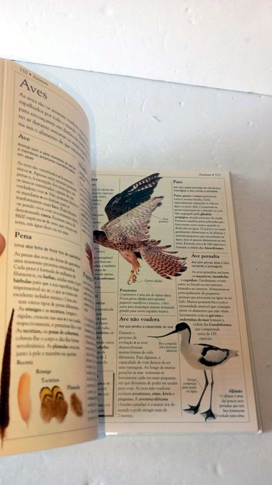Dicionário escolar da Natureza