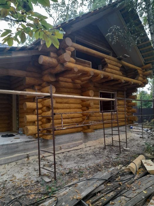 Сруб, будинки, бані, дикарь.