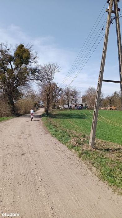 DZIAŁKA BUDOWLANA - Kolonia Ostrowicka- powiat Tczew , pomorskie - Widok 3