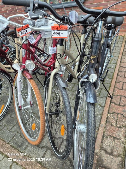 Rowery Curtis/Giant/Sparta/Gazelle/Batavus/MTB/Pegasus/Altra/KCP/Union