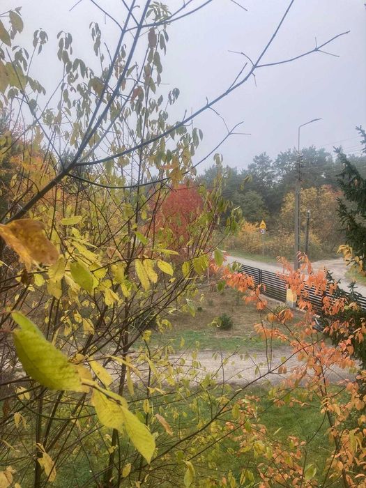 Dom na sprzedaż z Bardzo Dużą Działką 2600 m², Józefów k. Warszawy - Więcej