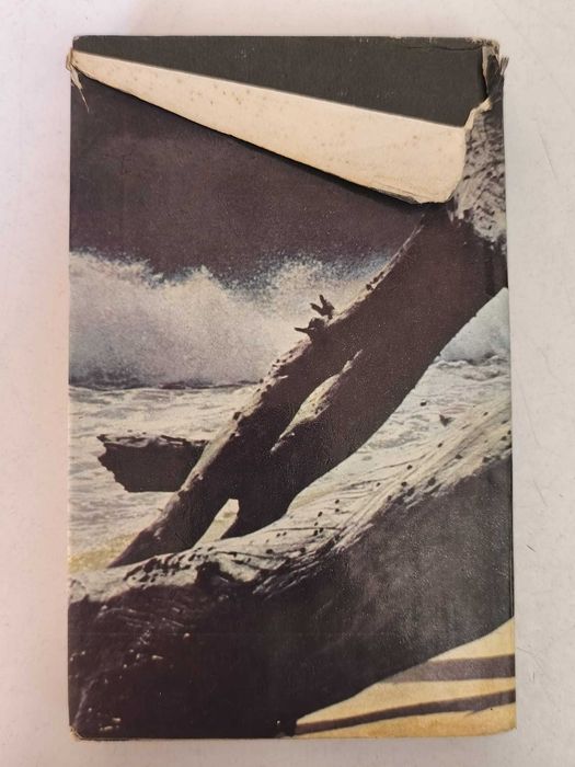 Livro - Encontro na praia (ctt editorial grátis)