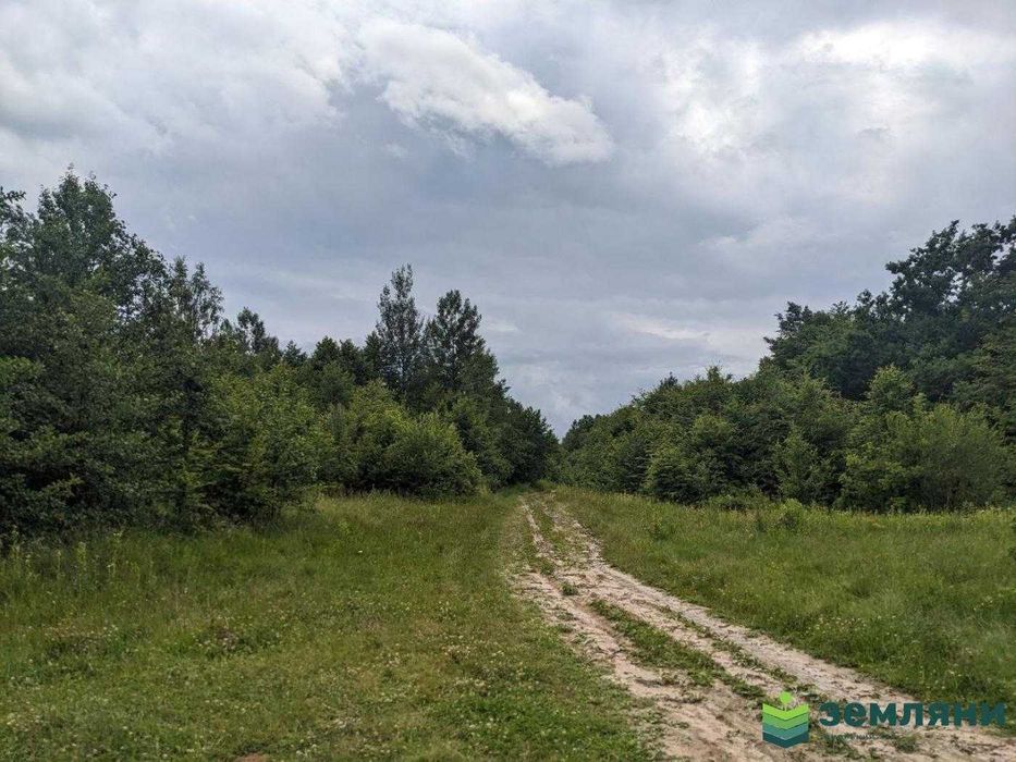 Продається ділянка під будову 14 сот с. Рибне (8)