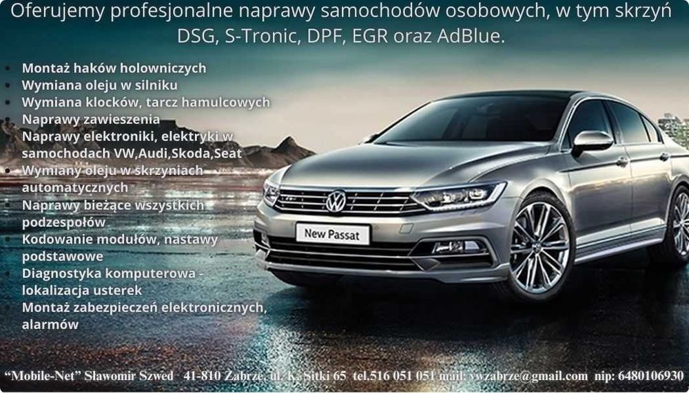 Zabrze Serwis Samochodowy Montaż Haków, Naprawy DSG, S-tronic