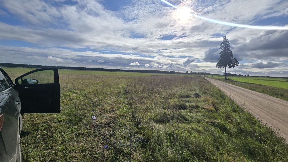Działka z pozwoleniem na budowę Grabowo 1100 m² - Widok 3