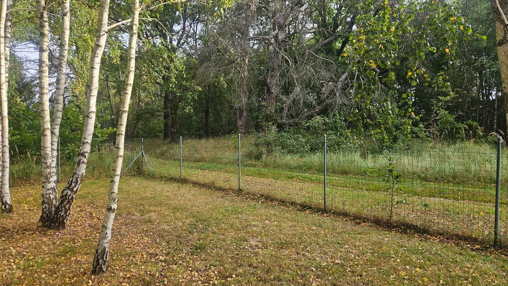 Piekna dzialka rekreacyjna o powierzchni 1500 m², urzadzona na wzniesieniu z garazem, pradem - Więcej