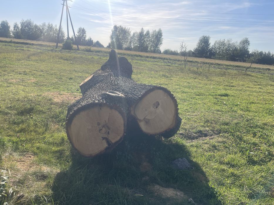 Sprzedam klode debowa