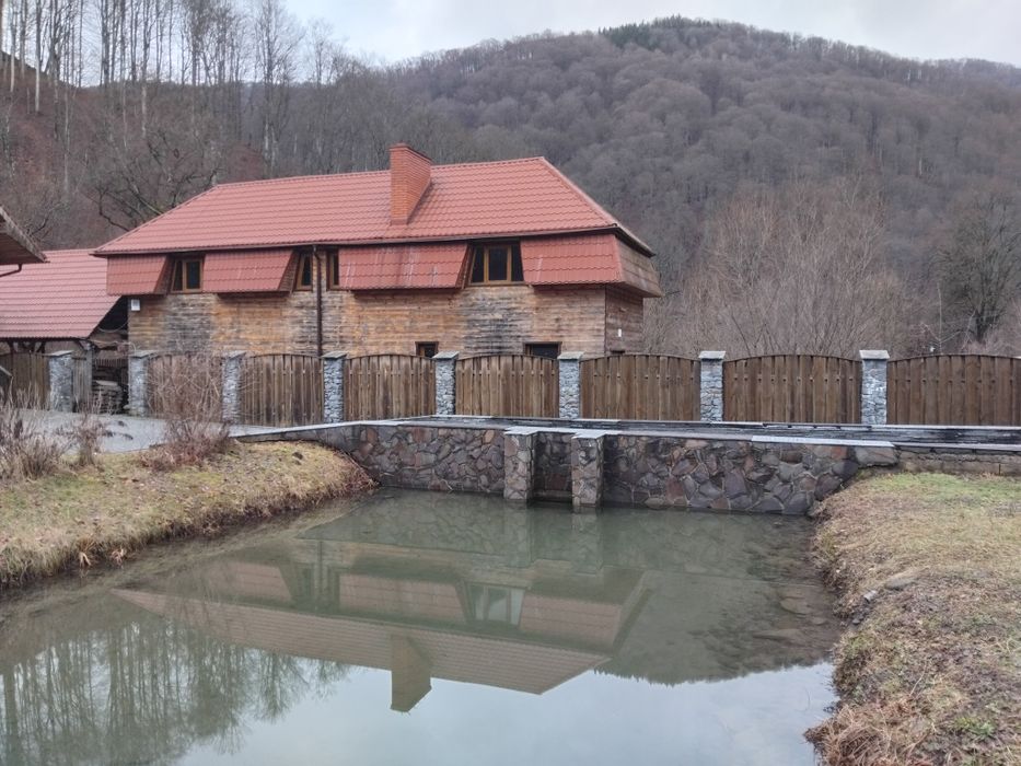 Ціну різко знижено! Маєток у горах Карпат с Вовчий Закарпатської облас