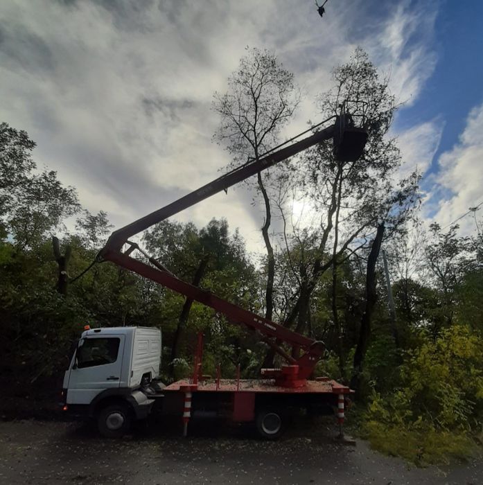 Zwyżka podnośnik koszowy usługi wynajem wycinka drzew