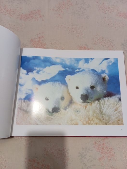 Livro Celebração dos Mares