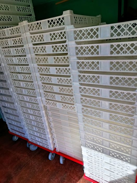 Plastic Trays454611962210570241