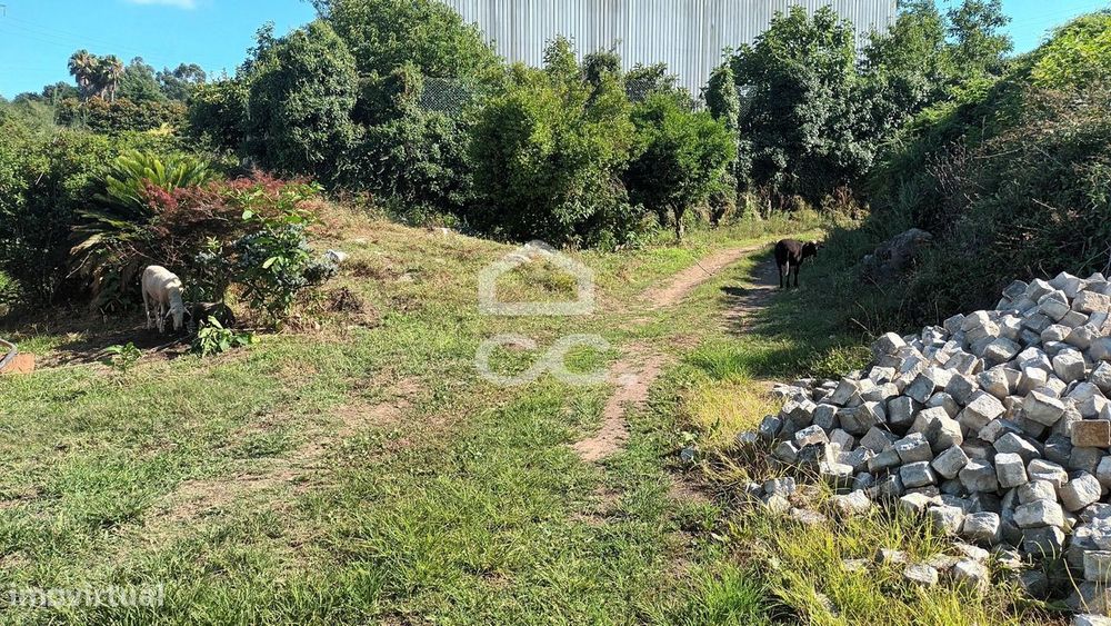 Terreno em Selho São Jorge - Guimarães