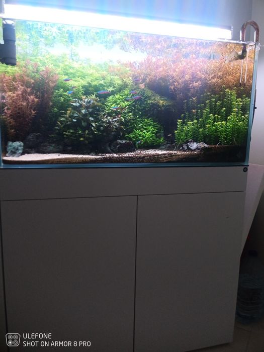 Aquário com movel   completo 90cm