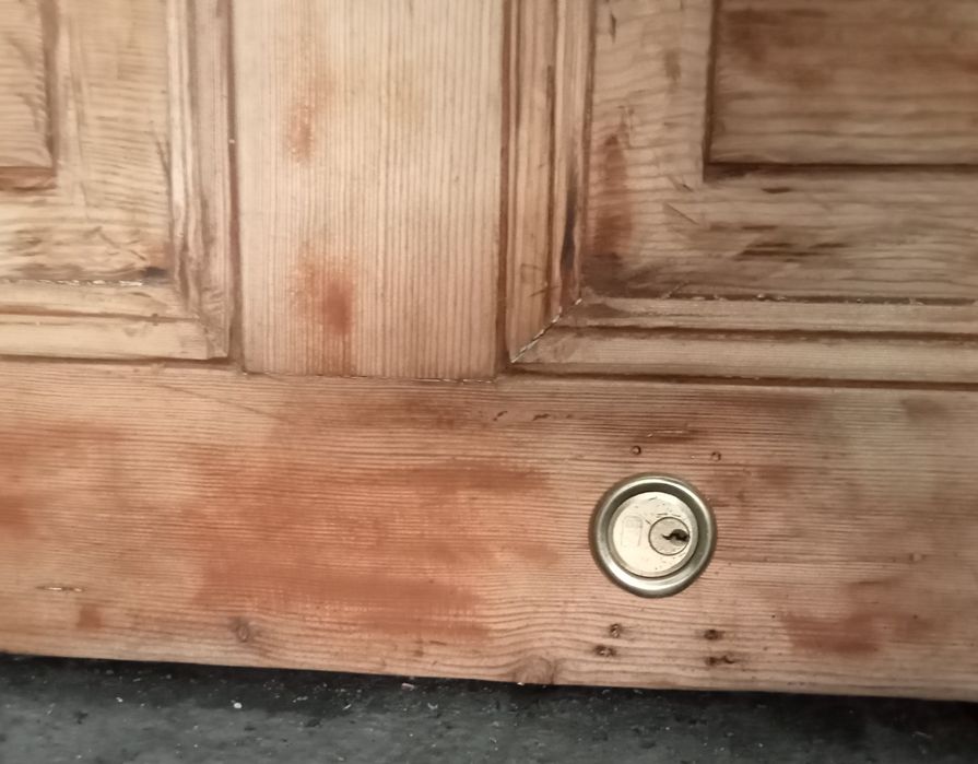 Drzwi wejściowe antyk