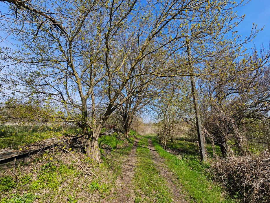 Продаж дачі, земельна ділянка площею 6.26 сотки, Обухівка. Ізумруд.