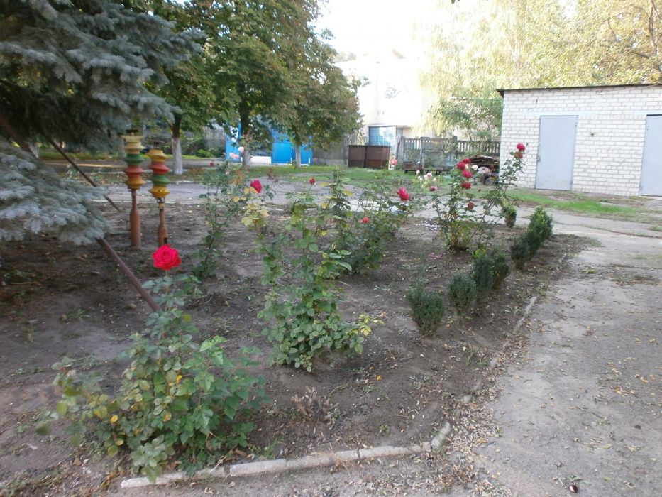 Земельна ділянка в с. Розумівка, під заміський клуб та ін.