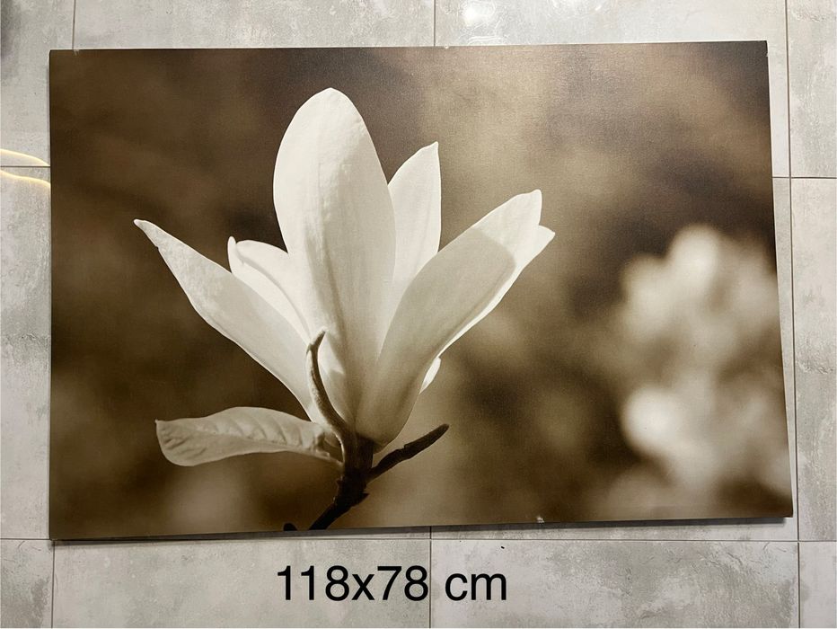 Obraz na plótnie, kwiat magnolia 118x78 cm