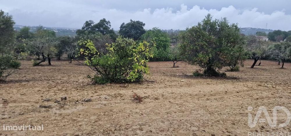 Terreno Agrícola em São Brás de Alportel de 3400,00 m2