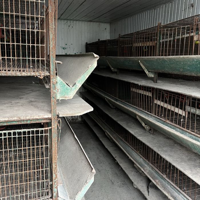 Клітка для вирощування курчат. Самовивіз!