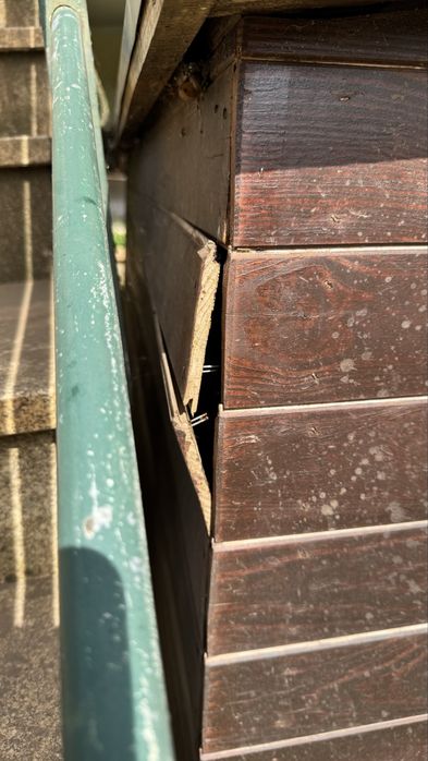 Casota em madeira para cães