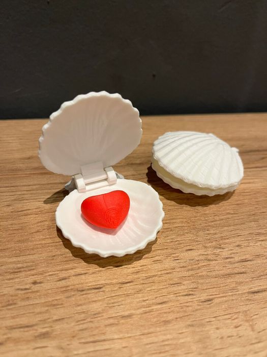 Мушля, ракушка продам