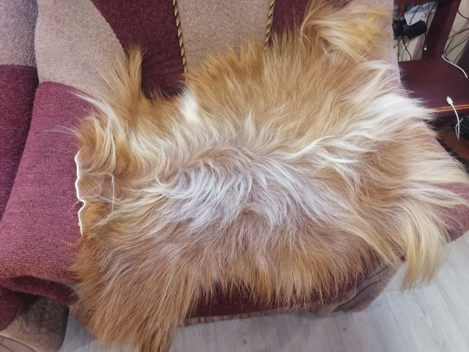 Маленькі шкірки під ноги чи в авто