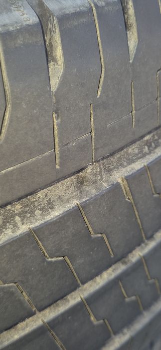 Opony continental do busa